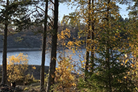 карелия